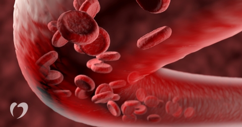 1---2018-April-Blood-Thinner-Post.jpg