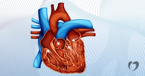 2017-Decebmer-Valve-Disease-1.jpg