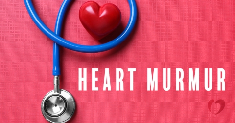 2018-February-Heart-Murmur-Cause-for-Concern-1.jpg