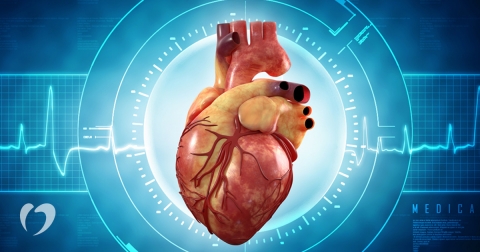 2018-January-Atrial-Fibrillation-and-Heart-Failure-1.jpg