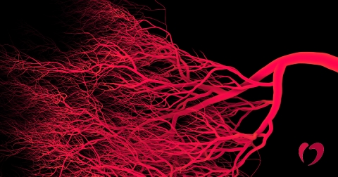 6-2018-May---Vein-Disease.jpg