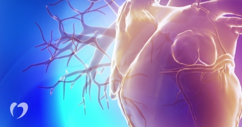 Anatomy-Function-of-Heart-0.jpg