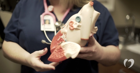 Endocarditis-Symptoms-Oklahoma-Heart-Hospital.jpg