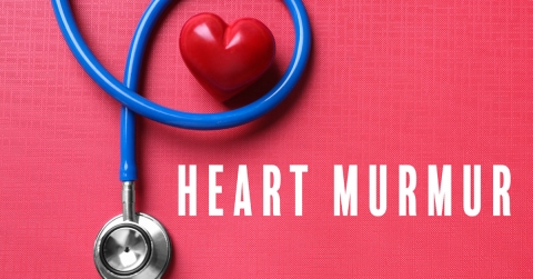 heart-murmurs-causes-symptoms-treatments-oklahoma-heart-hospital.jpg