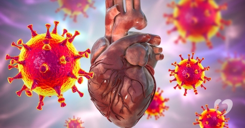 inflammation-of-the-heart-oklahoma-heart-hospital.jpg