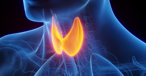 thyroid-health-and-heart-rhythm-disorders-understanding-the-connection-oklahoma-heart-hospital.jpg