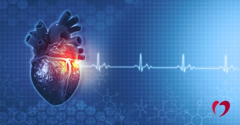 understanding-the-heart-ventricles-oklahoma-heart-hospital.jpg