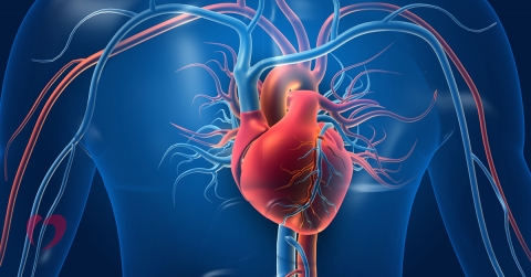 vascular-surgery-what-you-need-to-know.jpg
